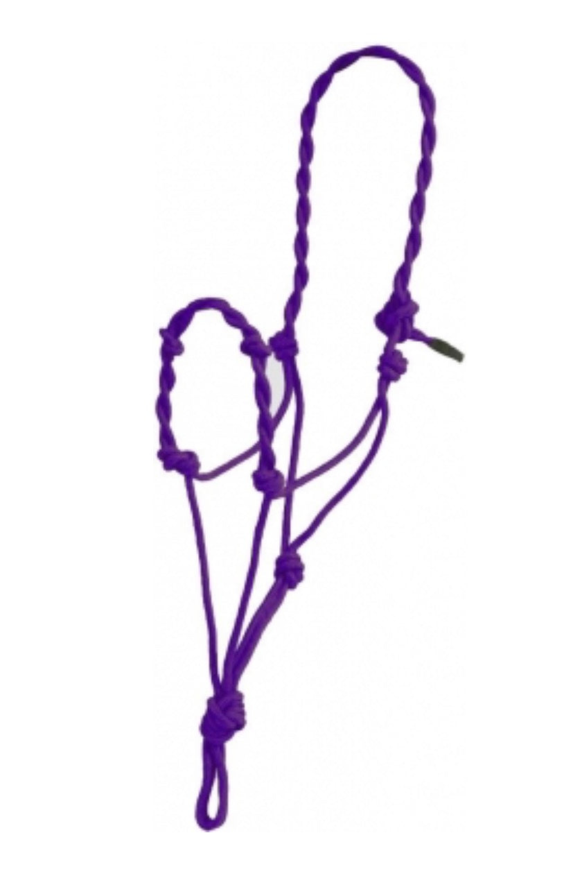 Purple Rope Halter