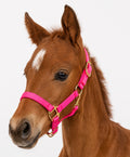 Pink foal halter