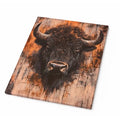Buffalo Canvas Print