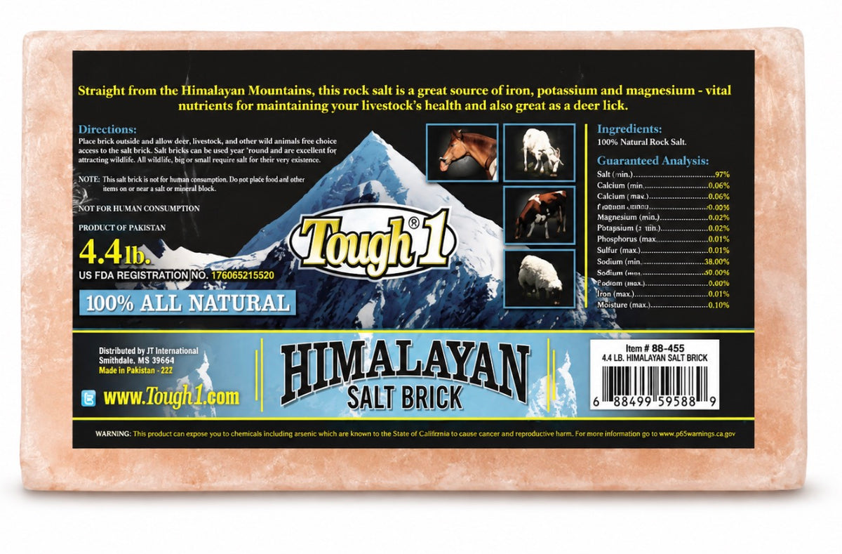 Salt Block