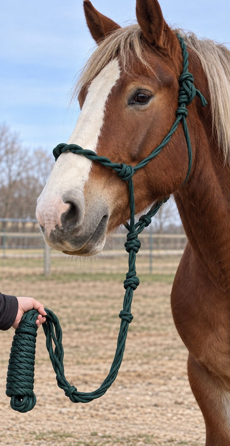 Green DRAFT Rope Halter And Lead