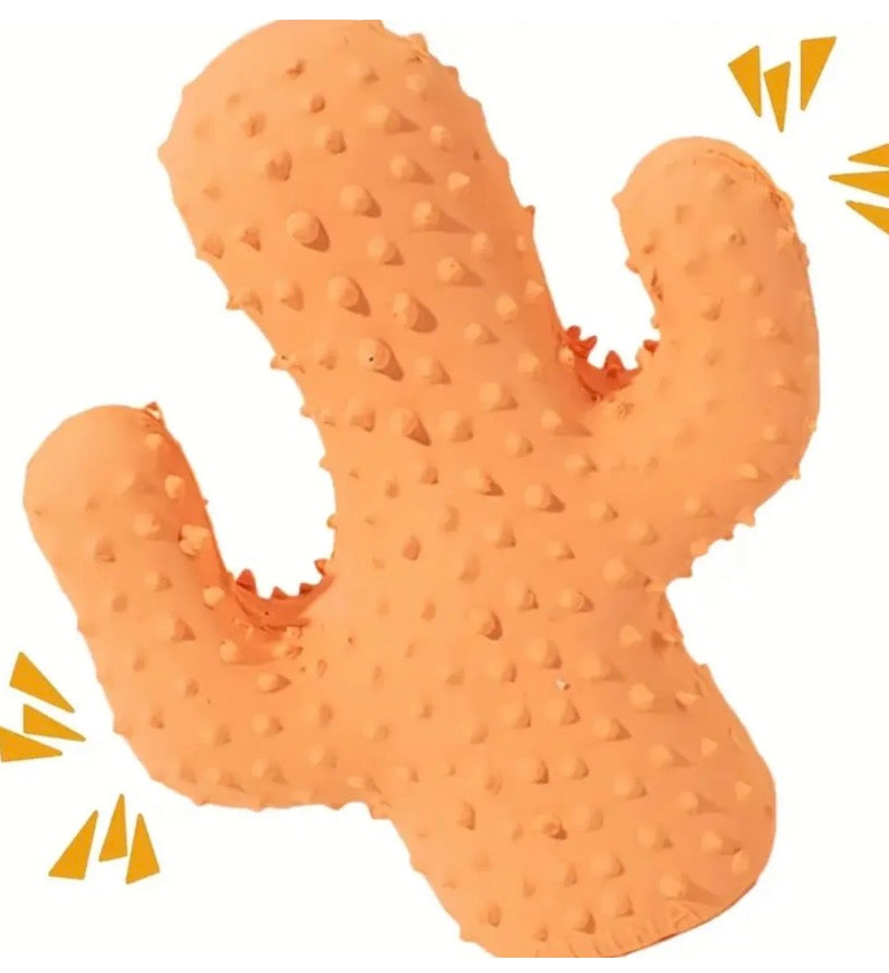 Squeaky Cactus Dog Toy