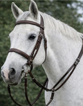 English Bridle