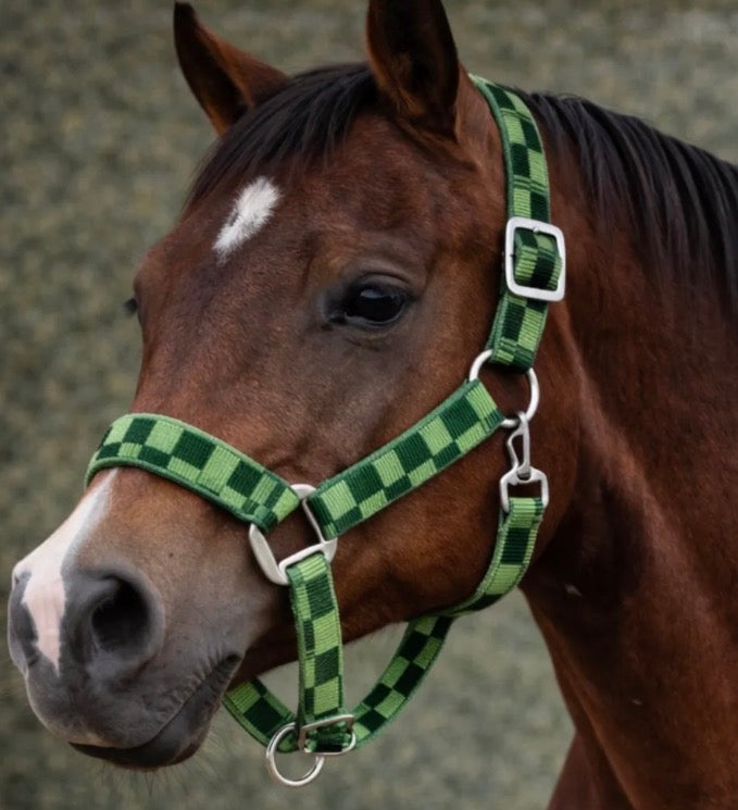 Green Checker Breakaway Halter Size Extra Full