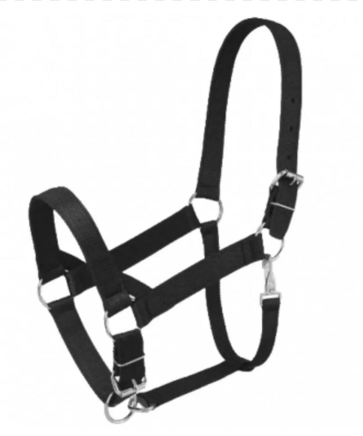 Draft Halter Black