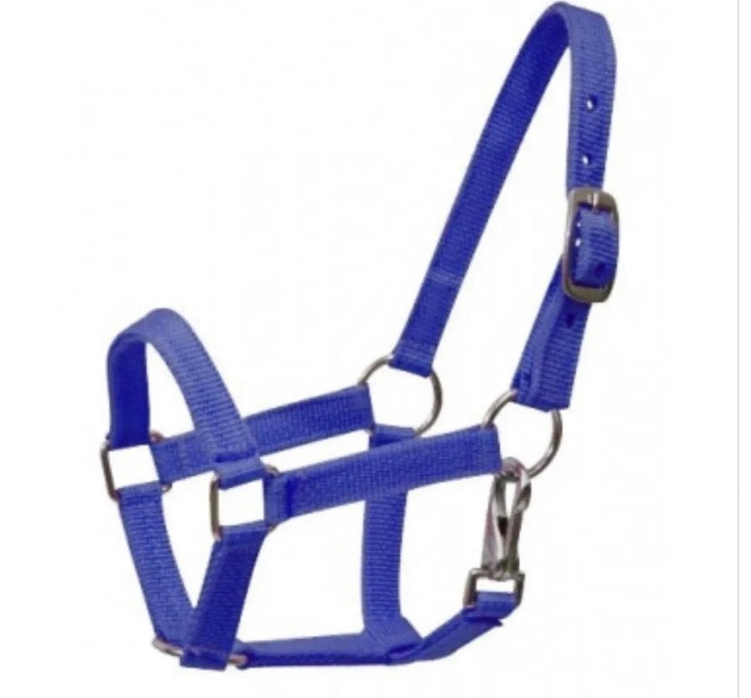 Mini Blue Halter