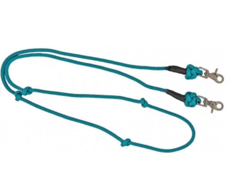 Turquoise Clip Reins