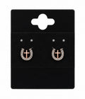 Pretty Horseshoe Earrings
