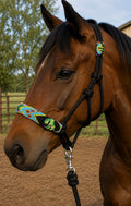 Unique rope halter w lead