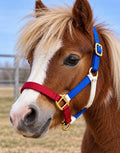 Patriotic Mini Halter