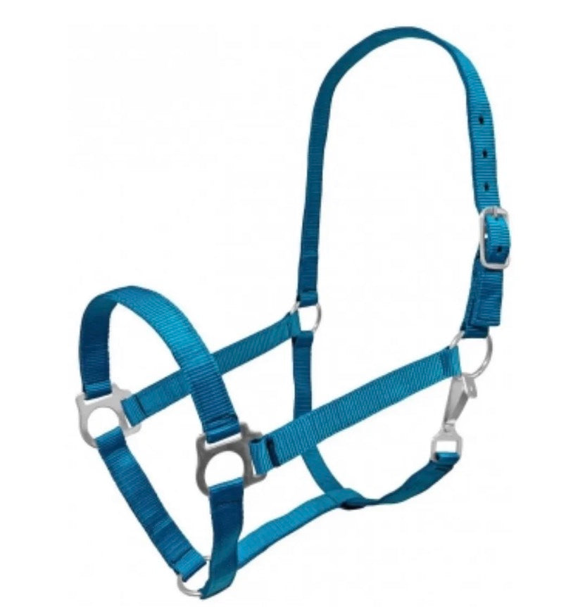 Mini Teal Halter