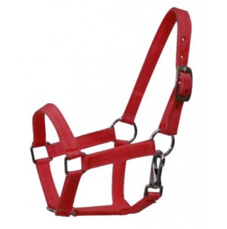 Cob Red Halter
