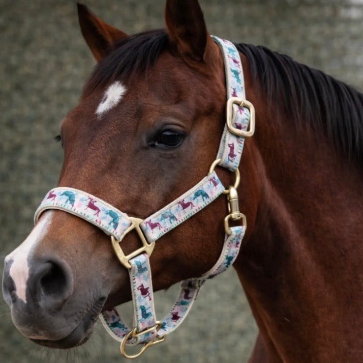 Dressage Horses Breakaway Halter