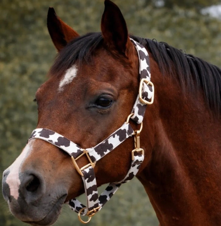 Cow Print Breakaway Halter