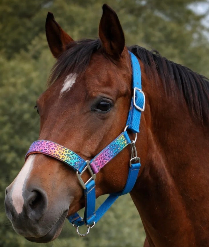 Rainbow Overlay Halter