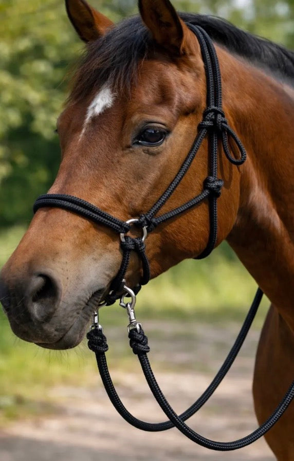 Black Bitless Bridle W Reins