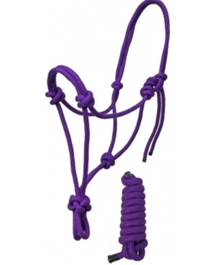 Purple Mini Rope Halter W Lead