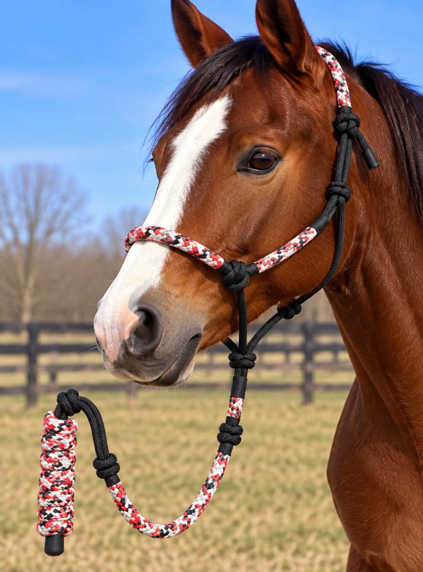 Black Rope Halter Lead