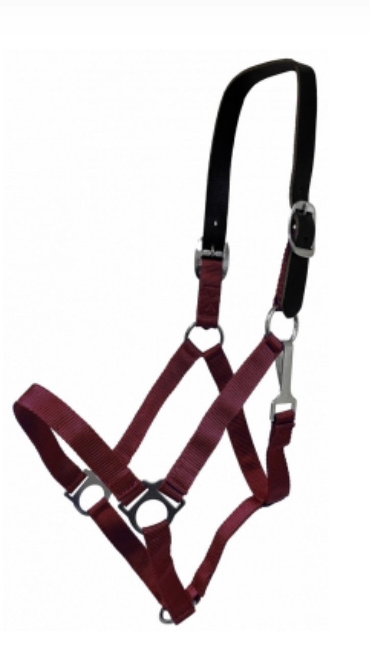 Burgundy Breakaway Halter