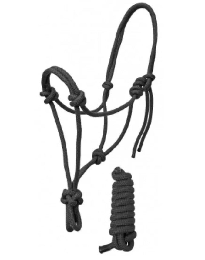 Black Mini Halter W Lead