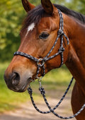 Bitless Bridle With Reins