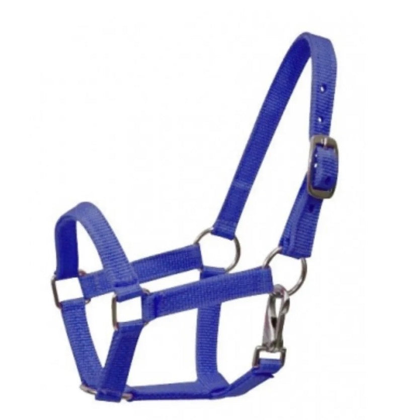 Cob Blue Halter