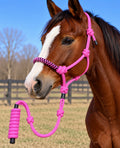 Pink Panacord Rope Halter Lead