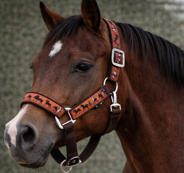 Horse Pattern Overlay Breakaway Halter