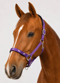 Purple horse overlay halter