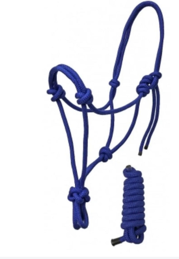 Mini Blue Rope Halter W Lead