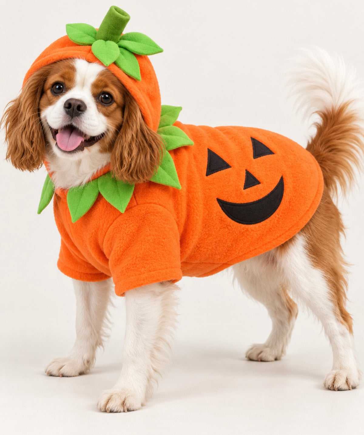 Pumpkin Dog Costume