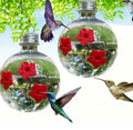 Hummingbird Feeder Circle