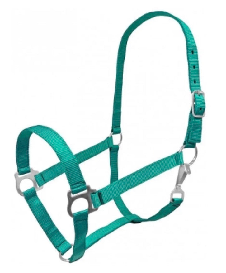 Cob Turquoise Halter