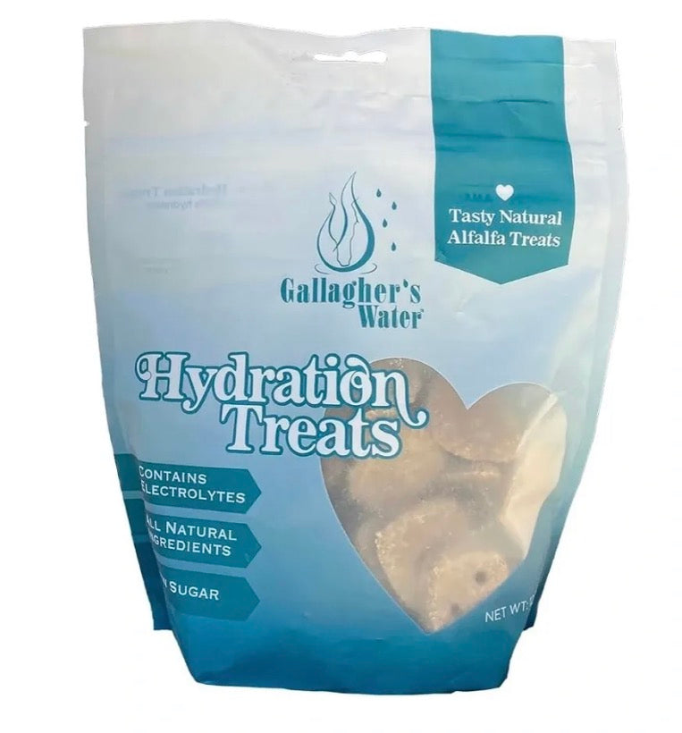 Hydration Treats For Horses