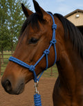 Purple/blue rope halter w lead