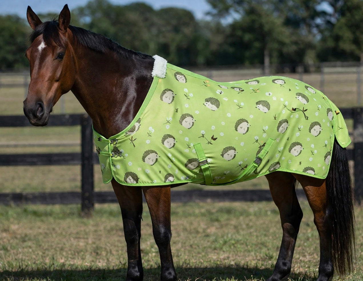 Hedgehog Fly Sheet