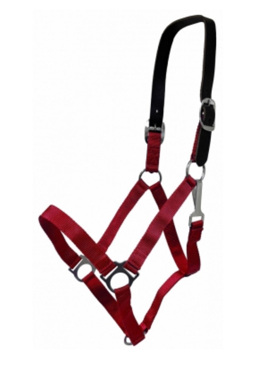Red Breakaway Halter