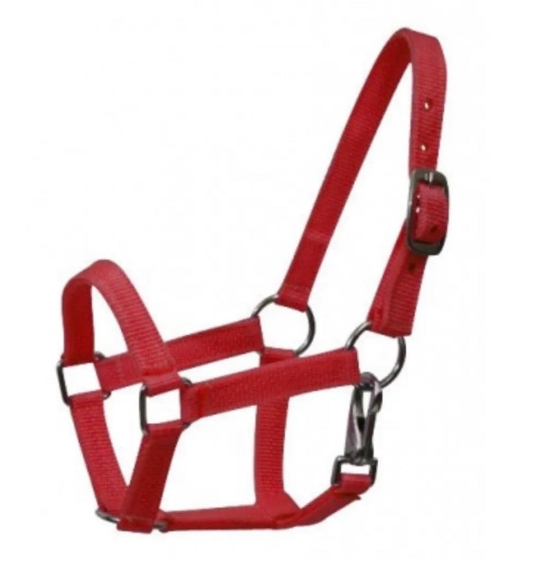Pony Red Halter