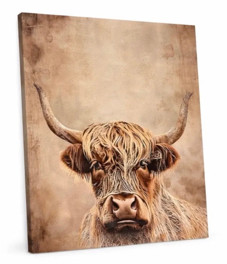 Cow Canvas Print