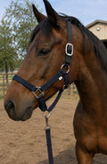 Navy/black halter
