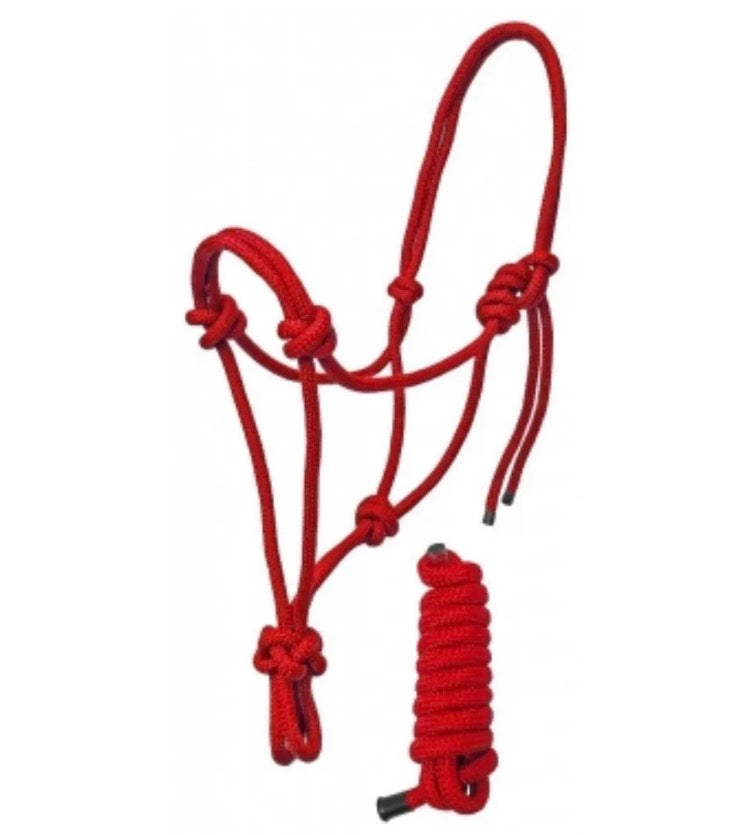 Mini Red Rope Halter W Lead